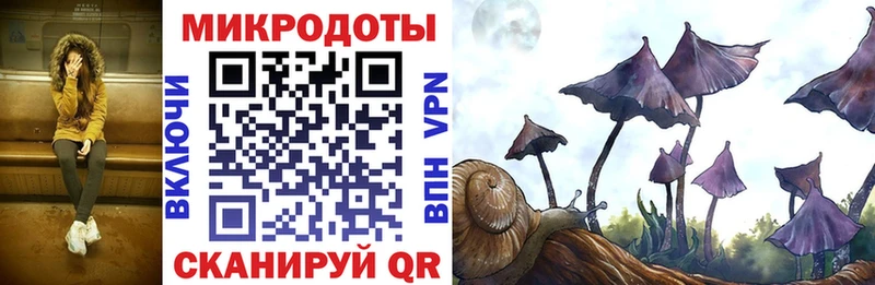Псилоцибиновые грибы мицелий  Купить закладки  Шлиссельбург 