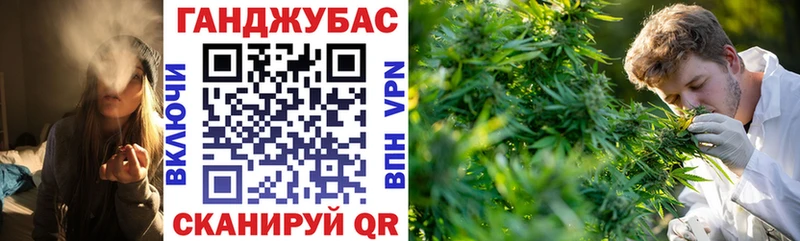 Купить где  Шлиссельбург  Марихуана Bruce Banner 